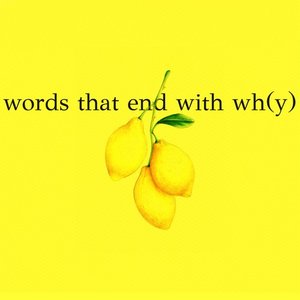 Image for 'words that end with wh(y)'