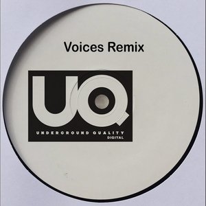 Voices (Remixes)