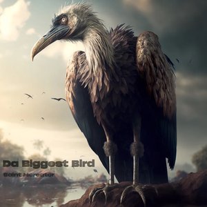 IM THE BIGGEST BIRD