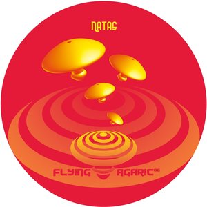 Flying Agaric 06