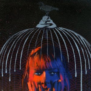 Little Bird