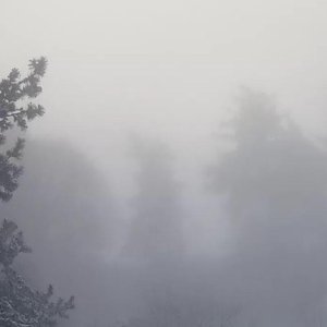 Under Nature - Single