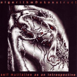 Self Mutilation As An Introspective