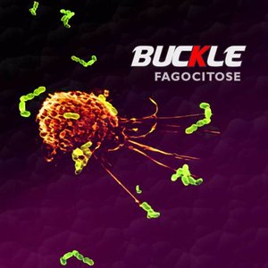 Fagocitose