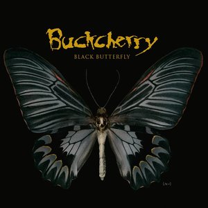 Доклад: Buckcherry
