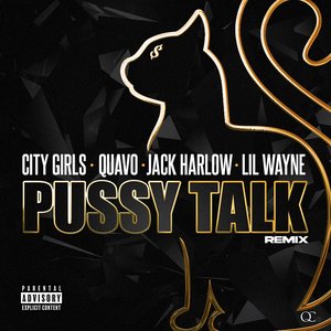 Avatar de City Girls, Quavo & Lil Wayne