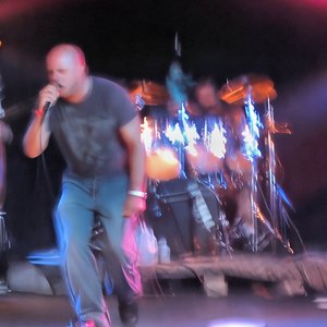 Avatar for Lucertola