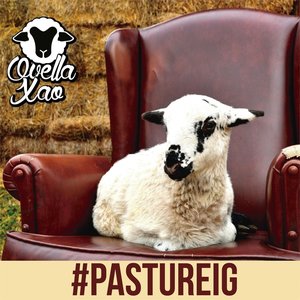 #PASTUREIG