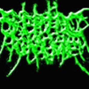 Avatar for Septic Chyme