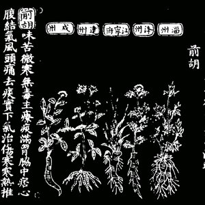 否