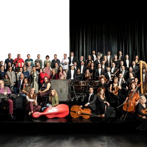 Tenerife Symphony Orchestra 的头像