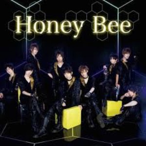 Honey Bee
