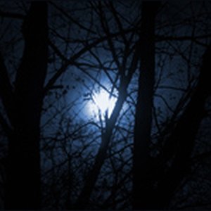 Staring At The Moon