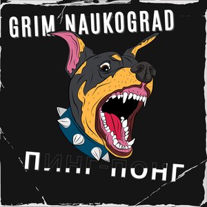 Пинг-Понг
