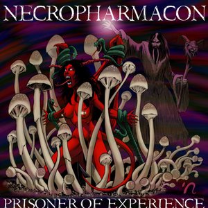 Prisoner of Experience