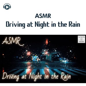 ASMR - Driving at Night in the Rain