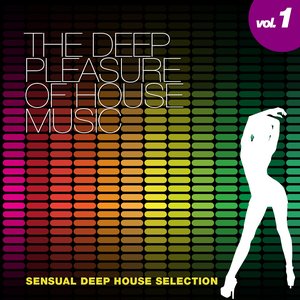 The Deep Pleasure of House Music, Vol. 1 (Sensual Deep House Selection)
