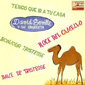 Vintage Dance Orchestras No. 189 - EP: Camel Rock