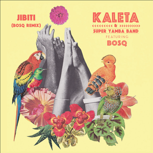 Artwork for Jibiti (Bosq remix)