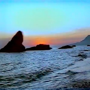 ecco transmission