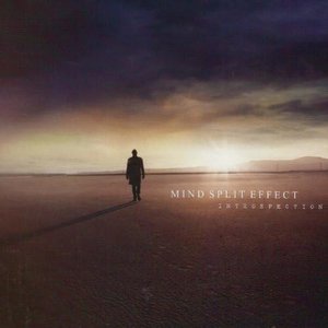 Introspection