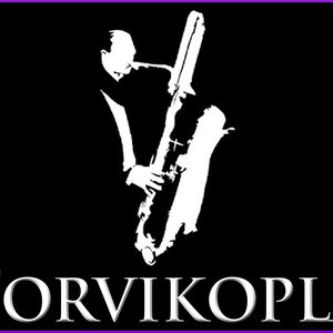 Torvikopla 的头像