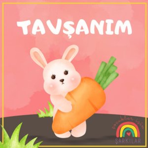 TAVŞANIM