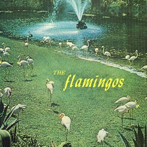 The Flamingos