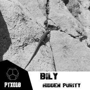 Hidden Purity