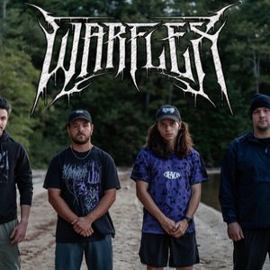 warflex 的头像