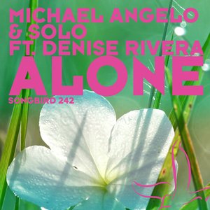 Avatar for Michael Angelo & Solo