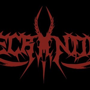 Image for 'Necronoir'