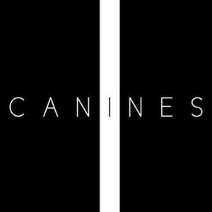 The Canines 的头像
