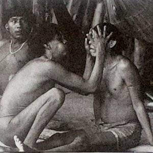 Image for 'Yanomami'