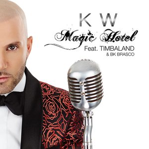 Magic Hotel (feat. Timbaland & BK Brasco) - Single