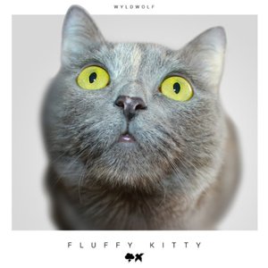 Fluffy Kitty