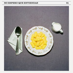 No espero que entiendas