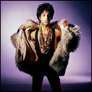Prince 的头像