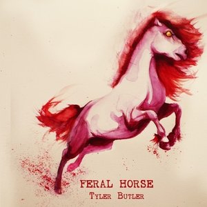 Feral Horse