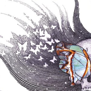 Butterfly Revolutions, Vol. 1