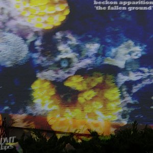 the fallen ground