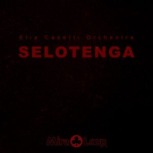 Selotenga