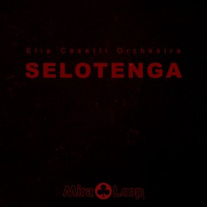 Selotenga