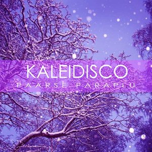 Kaleidisco