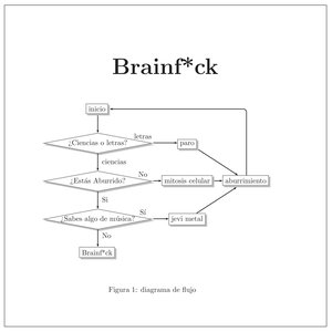 Brainfck 的头像