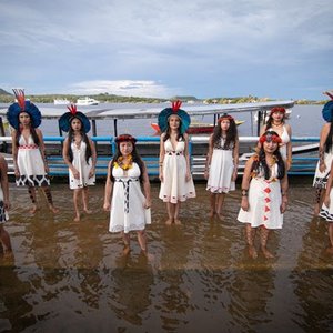 Suraras do Tapajós 的头像