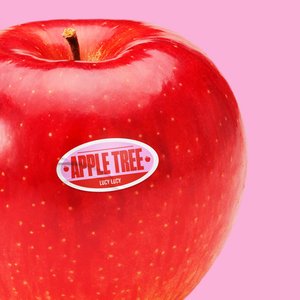 Apple Tree