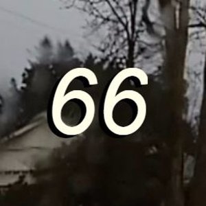 Avatar for E66S 卵
