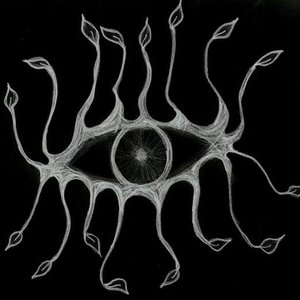 XVI Eyes 的头像