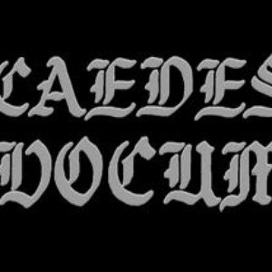 Caedes Vocum 的头像